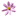 gerber daisy 2